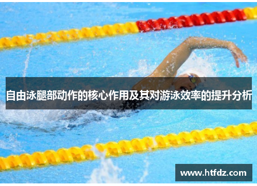 自由泳腿部动作的核心作用及其对游泳效率的提升分析
